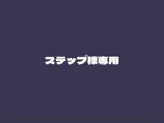 ステップ様専用