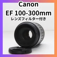 Canon EF 100-300mm 望遠ズームレンズ レンズフィルター付