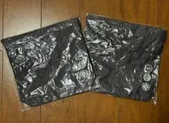 Item thumbnail for item 16e3973c-8f41-43b1-a5c3-e811b95aeb64