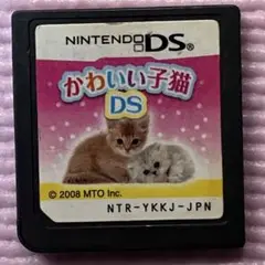 ニンテンドーDSソフト　かわいい子猫DS