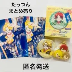 カラフルピーチ からぴちパラダイス2026 たっつん 缶バッジ 特典
