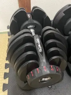 BARWING 可変式ダンベル 40kg x 2個セットその2/2
