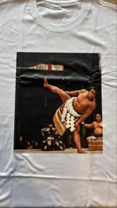 Item thumbnail for item 99ee8be2-cb8a-485a-8a58-08675046be9a