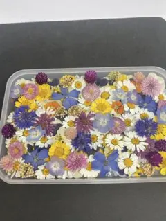 ドライフラワー花材　よー289 増量お得！200枚近く入り