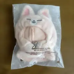 straykids スキズ アイエン フォクシニー 10cm ぬい I.N - メルカリ