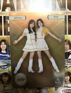 BBM2025 秋花&shino ツーショットカード