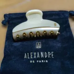 【美品】ALEXANDRE DE PARIS クリップ　Мサイズ