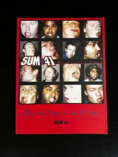 SUM41 ギター及びバンドスコア　3点セット売り SUM 41が最後のジャパン・ツアーで使用したギター&ベース | ギター