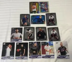 2024 Goodwin Champions インサートカード14枚　シリアル有