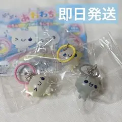 あわわちゃん ガチャガチャ