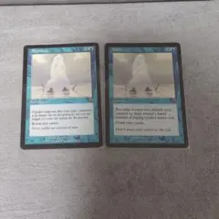 Borbotón & Gush ２セット