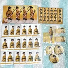 柳蓮二 梶山武雅 テニミュ テニスの王子様 ランブロ ポラショ アクスタ バッジ