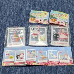 はいっ！ポーズ！キーホルダー2 サンリオ　ガチャガチャ