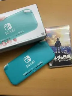 Nintendo Switch NINTENDO SWITCH LITE ター…