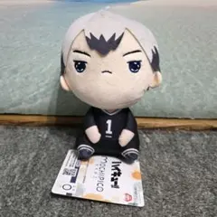 ハイキュー ！！ もちぴこぬいぐるみ 北信介