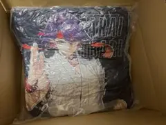 渡会雲雀　くじ　クッション