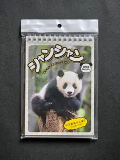 シャンシャン「2019年 カレンダー」ピーエーディー【未開封新品】