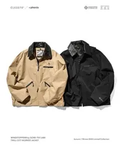 Item thumbnail for item 077f08b5-c6da-4091-a5eb-58fe9ace0962