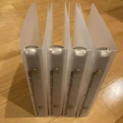 Item thumbnail for item 0686e891-0c0b-469b-aad0-cbaeee6787ee