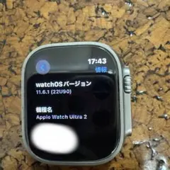 Apple Watch Ultra 2 ＋ミラネーゼループ