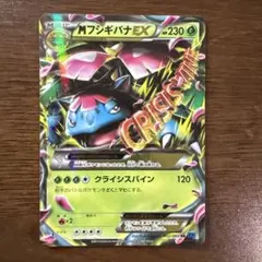 2025年最新】MフシギバナEXの人気アイテム - メルカリ