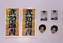 武知海青 ステッカー フレークシール