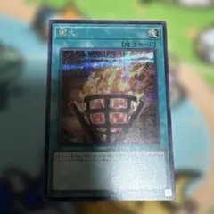 篝火　シクのサムネイル
