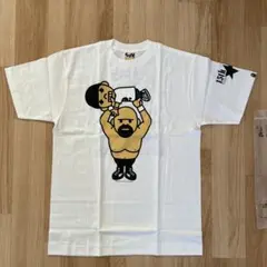 ★APE エイプ 初期 ベイプスタ プロレスリング 大阪 マルチカモ ポスター★ 2025年最新】エイププロレスの人気アイテム - メルカリ