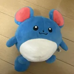 マリィ ポケモン