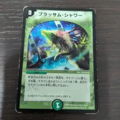 デュエルマスターズ ブラッサム・シャワー