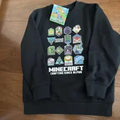 Item thumbnail for item d845eb79-995a-4112-b8b3-2a36f937fb89