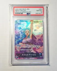 本日限定sale】ONE PIECE 描き下ろしナミ&ビビ psa10 - メルカリ