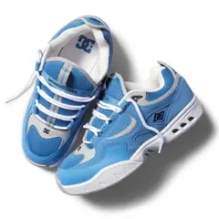 DC shoes Kalis OG Double Box 入手困難