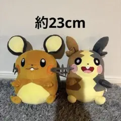 デデンネ モルペコ もふぐっと つれてって