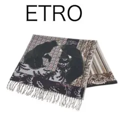 H5581-85◾️エトロ　ウール　ベア×ペイズリー柄　ストール