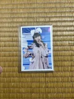 Item thumbnail for item 58597bb8-7ca7-434b-baf2-c197d6fa4e2c