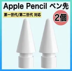 2個 Apple pencil 替え芯 ペン先 アップルペンシル 交換 iPad