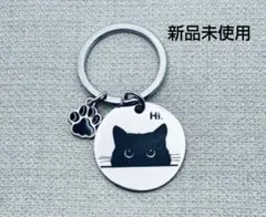 Item thumbnail for item 997d8b69-cd36-4e3f-ab0a-1d8348d8f9c3