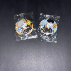 ハイキュー　ジャンプフェスタ2020　日向翔陽 影山飛雄 ポートレート缶バッジ