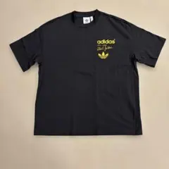 adidas Abdul-Jabbar Tシャツ グレー