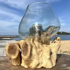超超特大流木ガラスオブジェWB 花瓶 金魚鉢 水槽 苔リウム メダカ容器