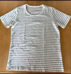 トップバリュー ストライプ 半袖レディースTシャツ LLサイズのサムネイル