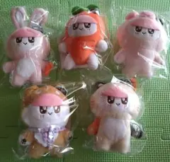 2026年最新】セブチ猫ぬいぐるみの人気アイテム - メルカリ