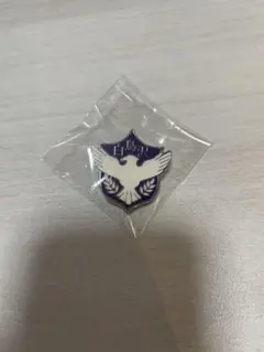 ハイキュー 白鳥沢 ピン