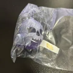 ディズニー　テーマポート　ぬいぐるみチャーム　ドクロ岩