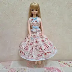 ドール服…No.675~ジェニーちゃんサイズのブラウスとスカート