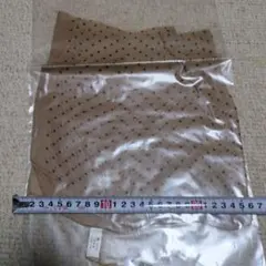 Item thumbnail for item 4b519493-2ac2-405a-b1e0-3f4c196732ce