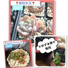 ゆず★様 リクエスト 2点 まとめ商品