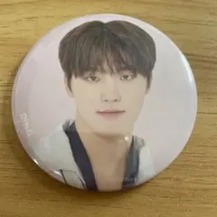 seventeen ディノ　DINO 缶バッジ 24H セブチ