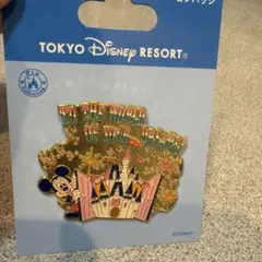 東京ディズニーリゾート ピンバッジ